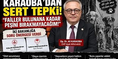KARAOBA’DAN UŞAK’TAKİ HAYVAN VAHŞETİNE SERT TEPKİ: