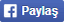 facebook-paylas